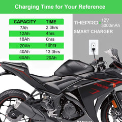 THEPRO indoor charger powers motorcycles, lawn equipment, and ATVs.
