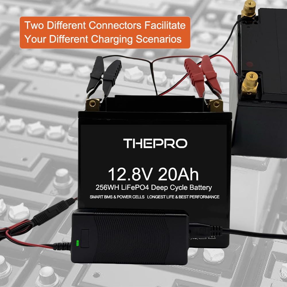 ThePRO LiFePO4 maintainer shows compact design for home workshop charging.