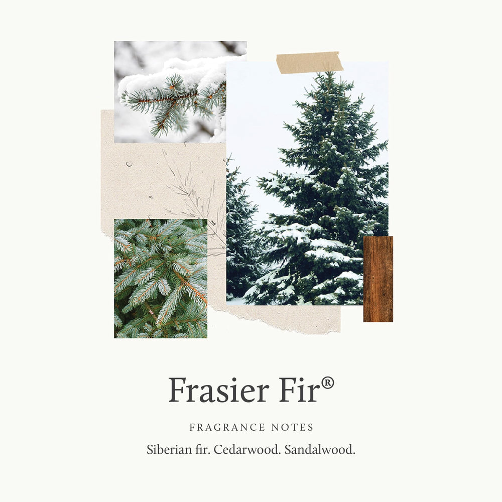 Thymes Frasier Fir vent clip diffuser reeds enable simple car scent update.