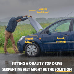 TOP DRIVE compatibility list image shows broad vehicle coverage.
