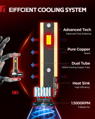 Torchbeam bulbs rated 80,000+ hours for long-lasting performance