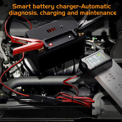 TPE supports lead-acid 6V/12V batteries, up to 60Ah.