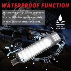 TXRXIZ LED interior light assembly enhances cabin entry lighting