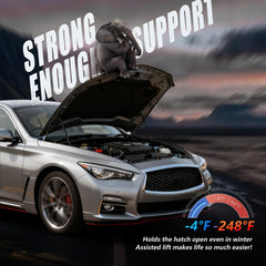 Vepagoo hood struts pass weather tolerance testing for reliability