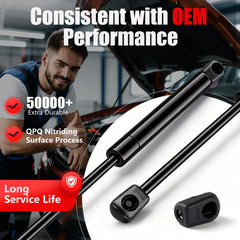 Vepagoo hood lift supports shown during quick five-minute install