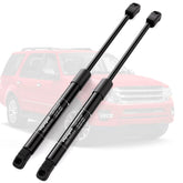 Vepagoo rear hatch strut for Ford Expedition provides smooth, controlled trunk lift.