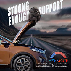 Vepagoo weather-tested hood struts performing in diverse climates