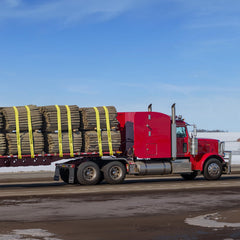 VEVOR truck straps protective coating resists wear and environmental exposure.