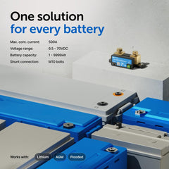 Victron Energy Smart Shunt VE.Smart Networking data sharing view.