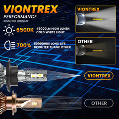 VIONTREX low-beam bulbs provide steady illumination for night driving.