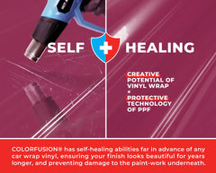 Dry application on curved panel with ColorFusion PPF for precise tack.