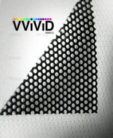 VViViD one-way vision window film privacy with exterior visibility