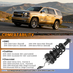 WANKECAR complete shock absorber assembly ready for replacement