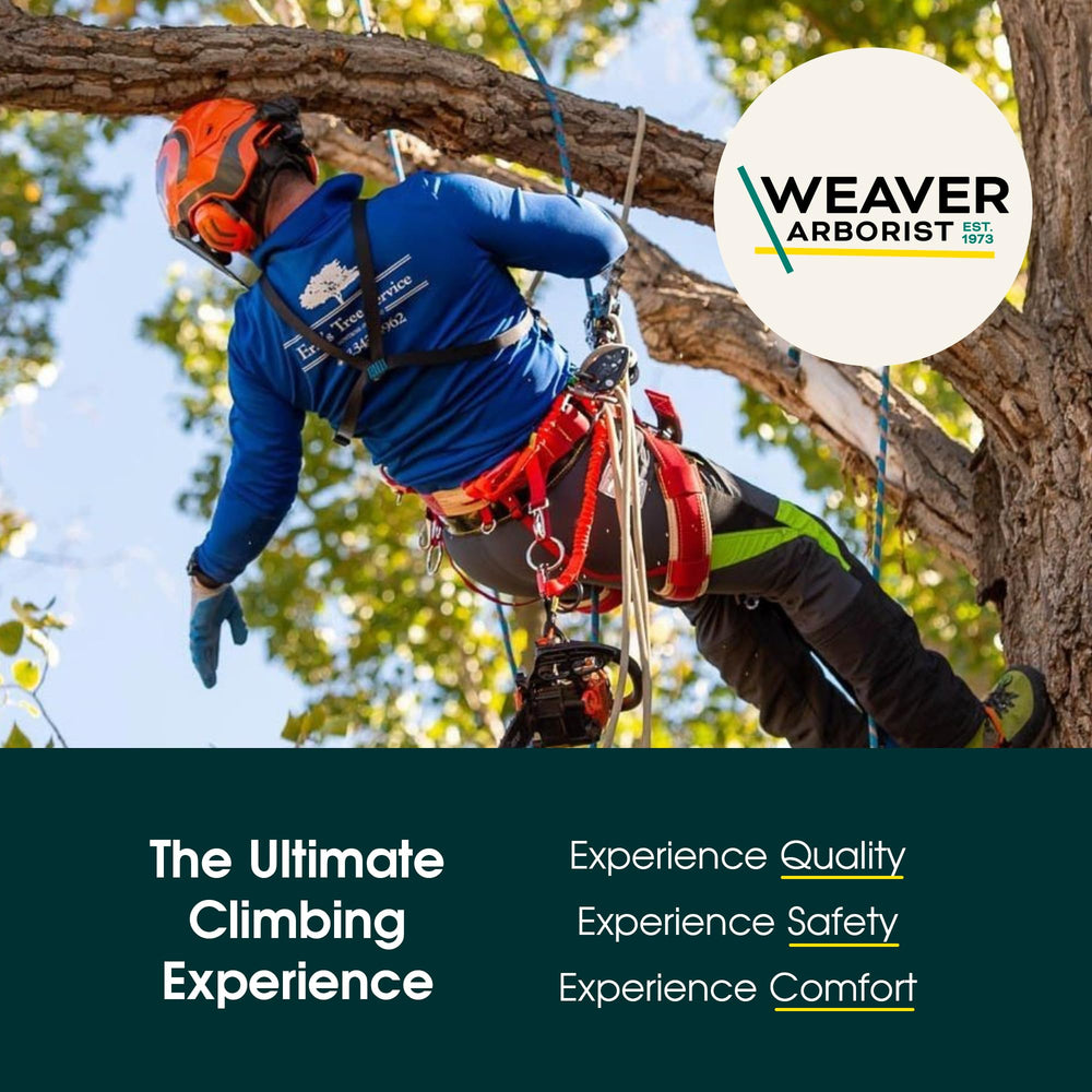 Weaver Arborist cube fits neatly inside a standard gear bag.