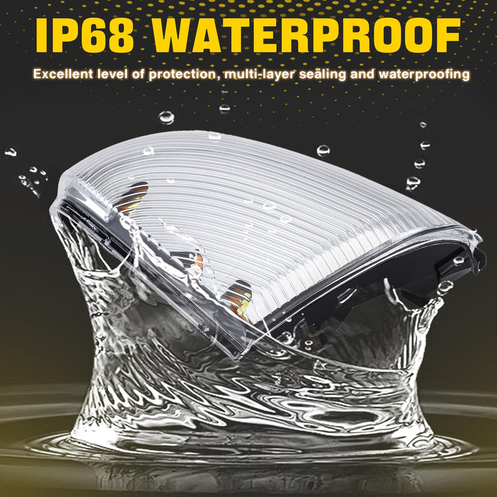 Weileite packaging and lifetime warranty information
