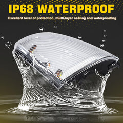 Weileite packaging and lifetime warranty information