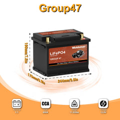 Wuldnmar Lifepo4 technology core highlights lightweight performance and long lifespan.
