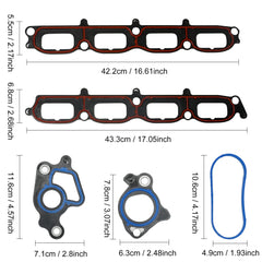 XINSAUTO gasket close-up shows material quality and sealing surface detail