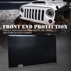 Xprite black matte grille accent integrates with stock grille.