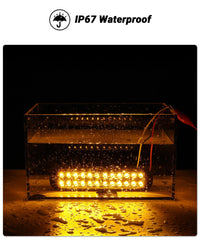 XtraGlow surface-mount design enables easy installation on multiple vehicles