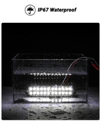 XtraGlow universal 12V trailer light compatible with trailers, trucks, RVs