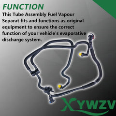 XYWZV evap system diagram explains integration with engine controls