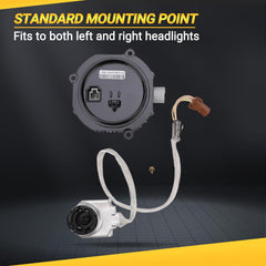 Yikesai xenon ballast label inspection ensures authentic replacement and compatibility.