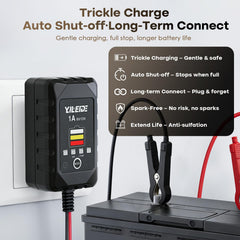 YILEIDE 1A charger features a three-color LED indicator for status.
