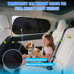 ZATOOTO privacy shade for Model Y ideal for urban driving