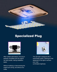 Zen Hon brightness switch feature close-up indicates adjustable light levels
