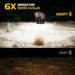 ZonCar H8 LED headlight bulbs deliver crisp visibility across curves and signs.