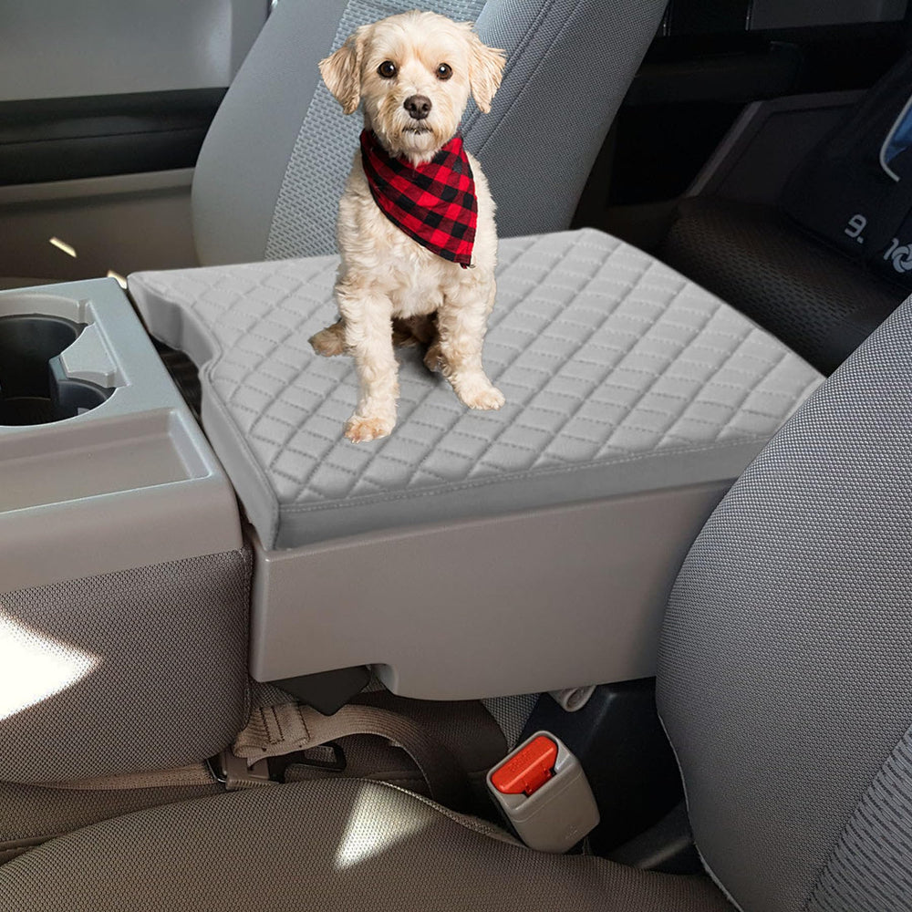Zxiaochun gray color match keeps interior cohesive and stylish