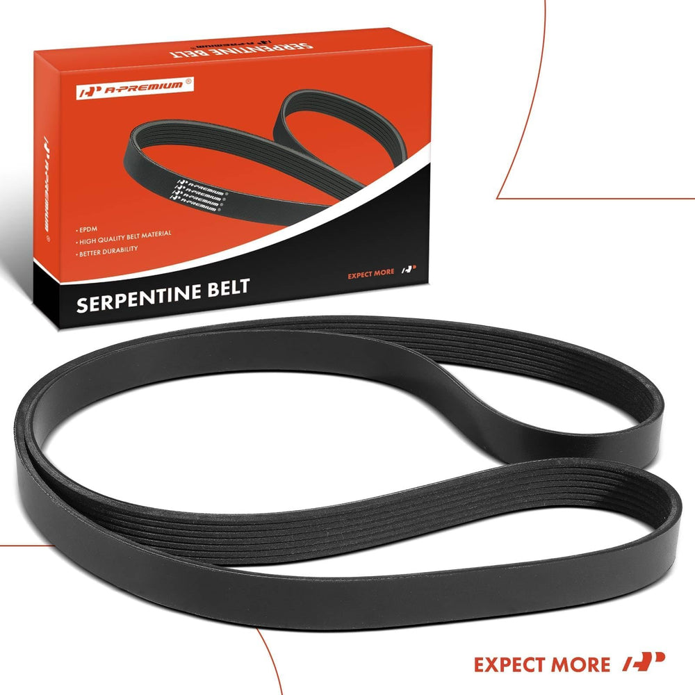 A-Premium belt with a one-year warranty for confidence.