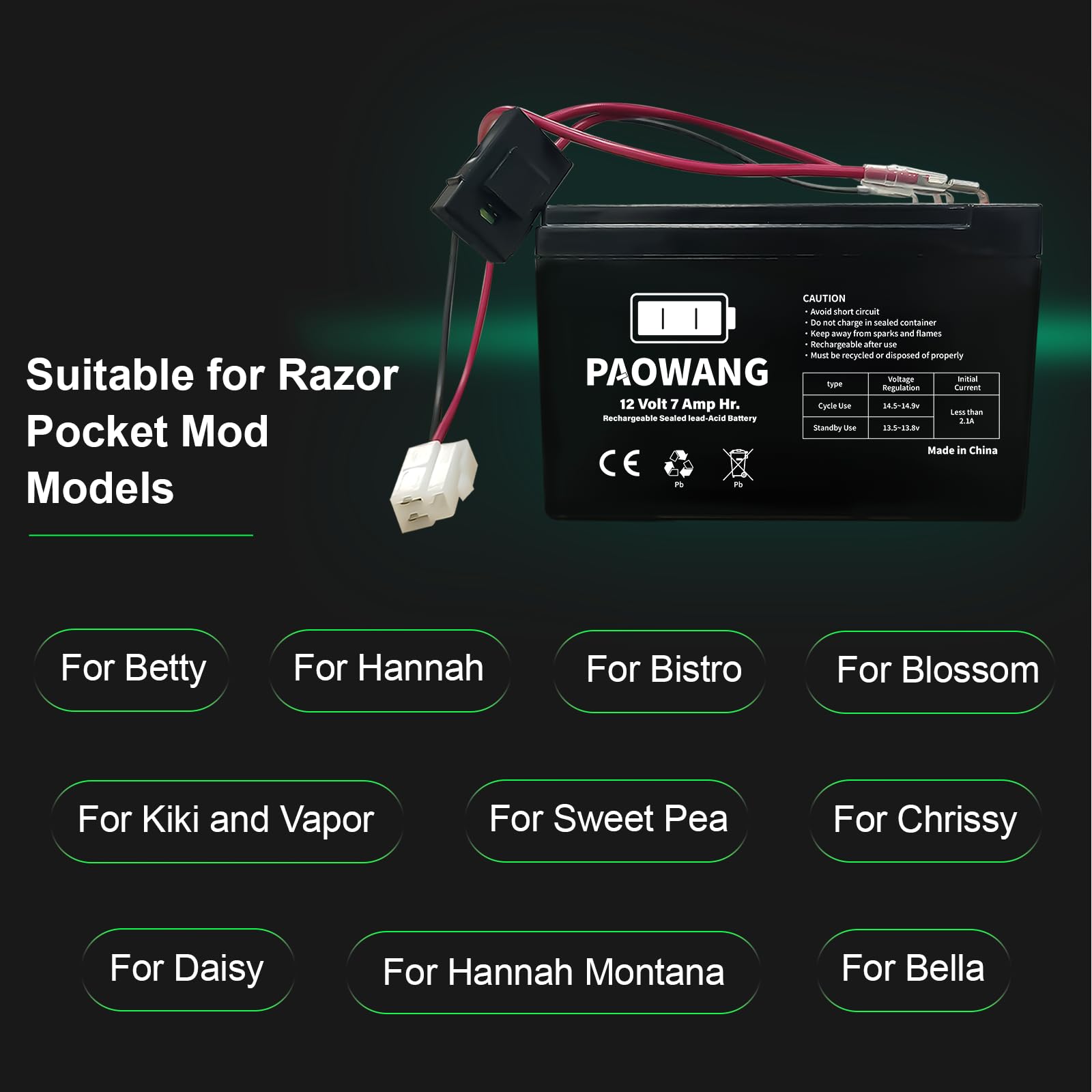 ABCTOY 40A fuse protects charging and operation.