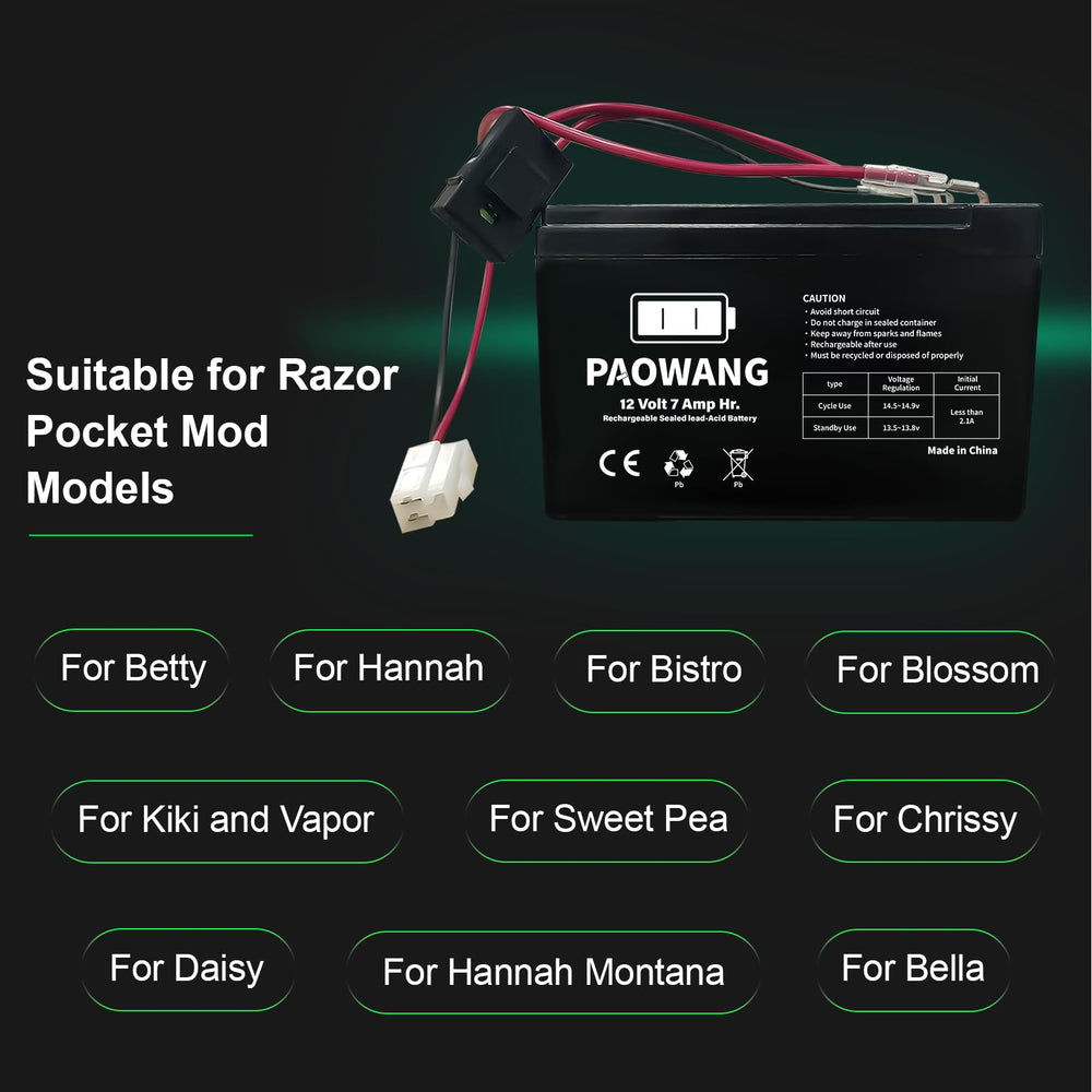 ABCTOY 40A fuse protects charging and operation.