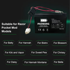 ABCTOY 40A fuse protects charging and operation.