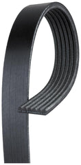 ACDelco Gold 6K960 serpentine belt front view with durable multi-ribbed design.