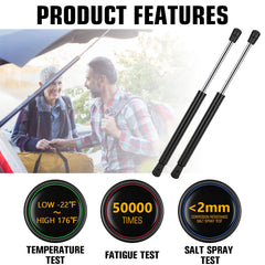 Aeagle shock with powder-coated cylinder for durability in all weather