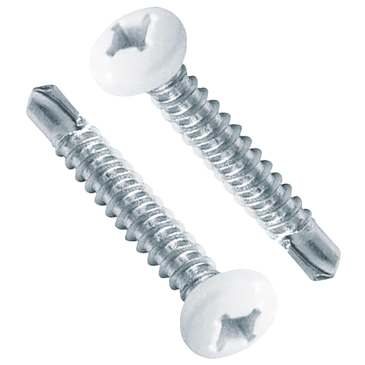 AFZZ RV screws white pan head 8x1 closeup shows rust-resistant stainless steel