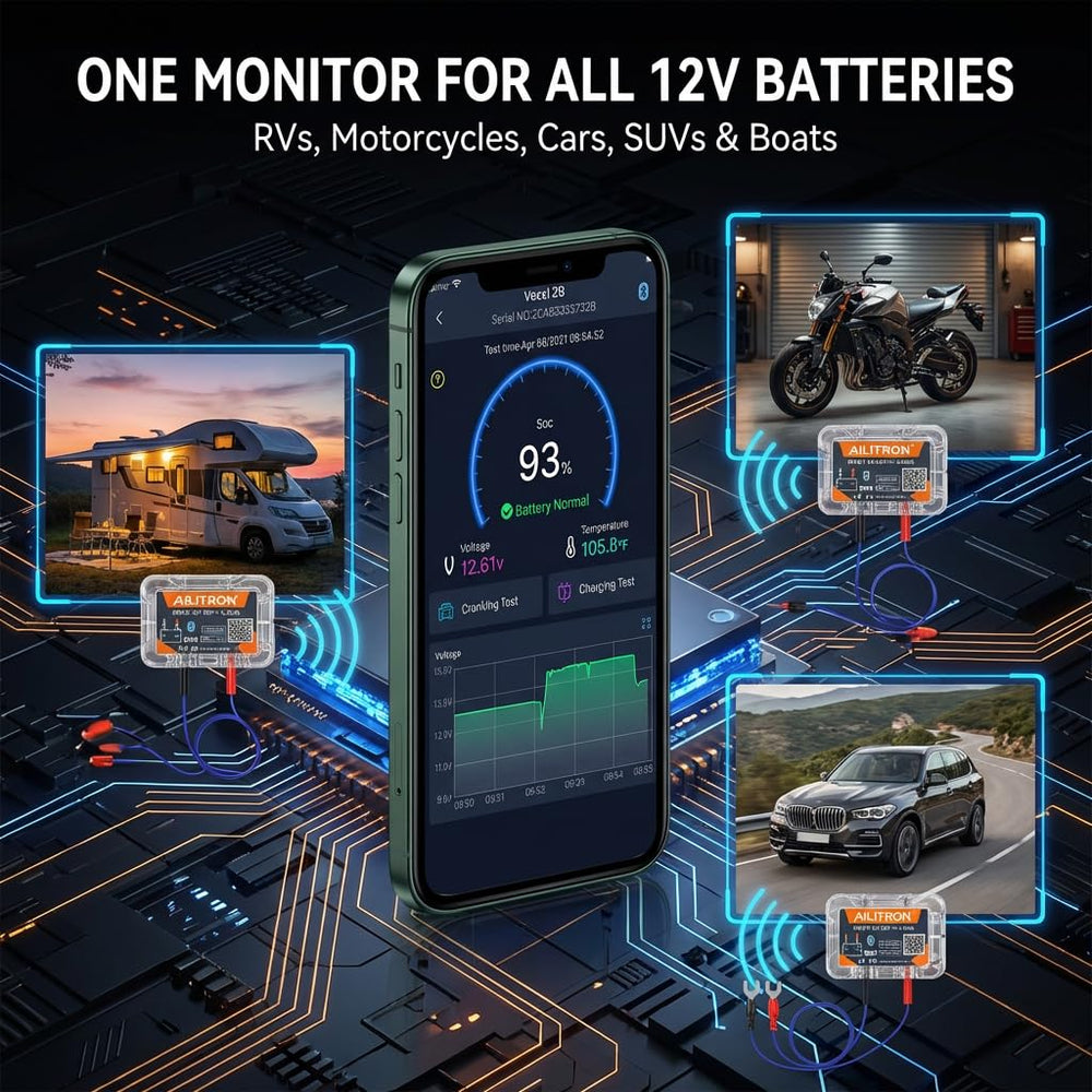 BM6 supports 12V lead-acid families and LiFePO4 compatibility