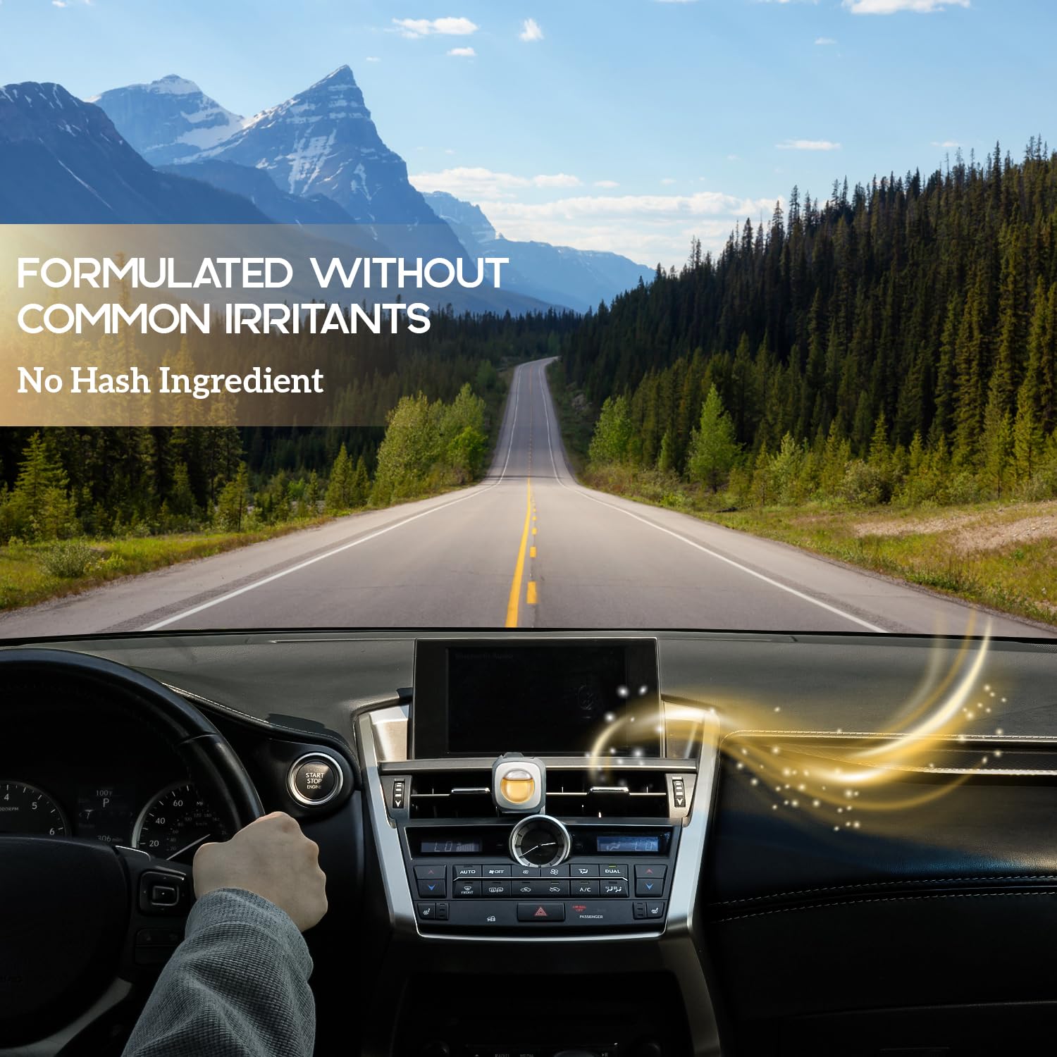 Air Jungles Osmanthus scent enhances pet-filled interiors on road trips