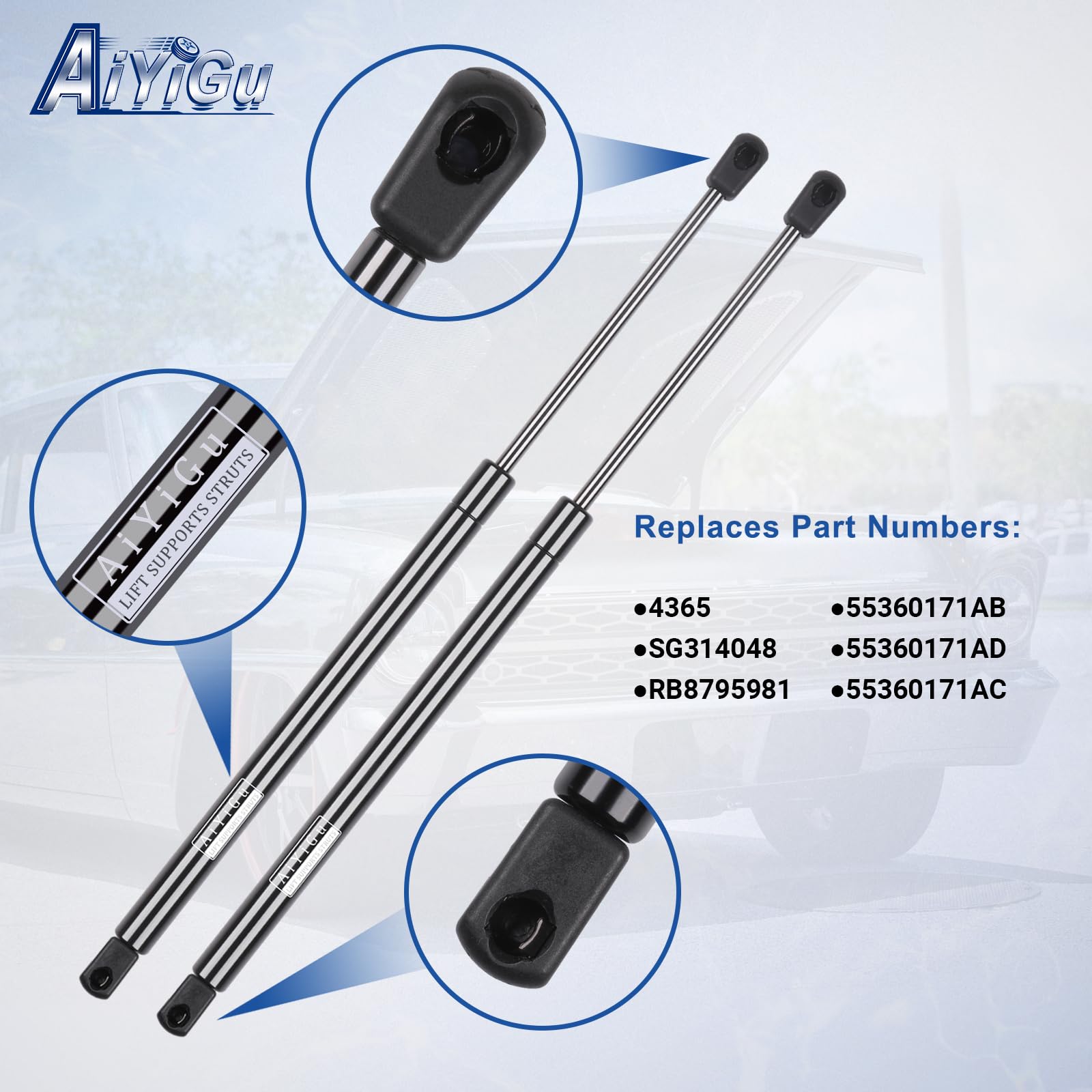 AiYiGu packaged two shocks for quick replacement.