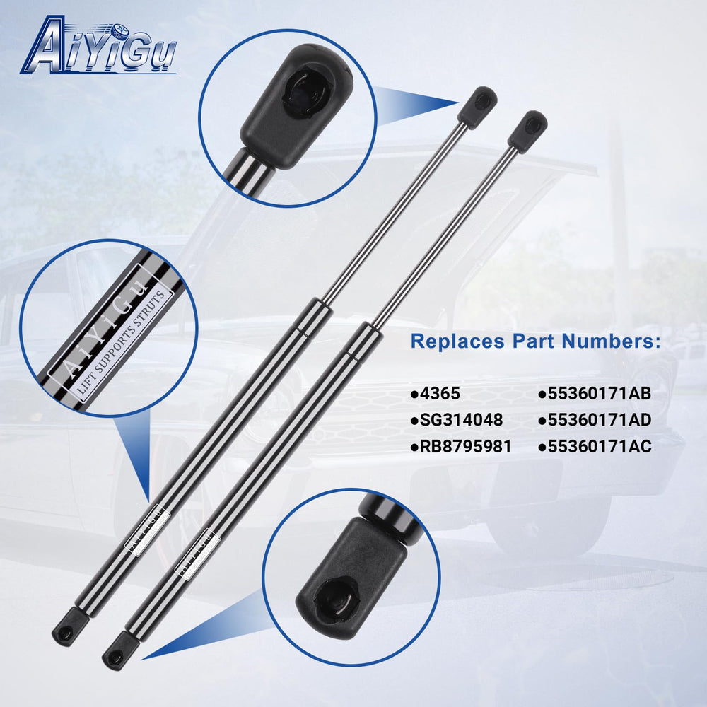 AiYiGu packaged two shocks for quick replacement.
