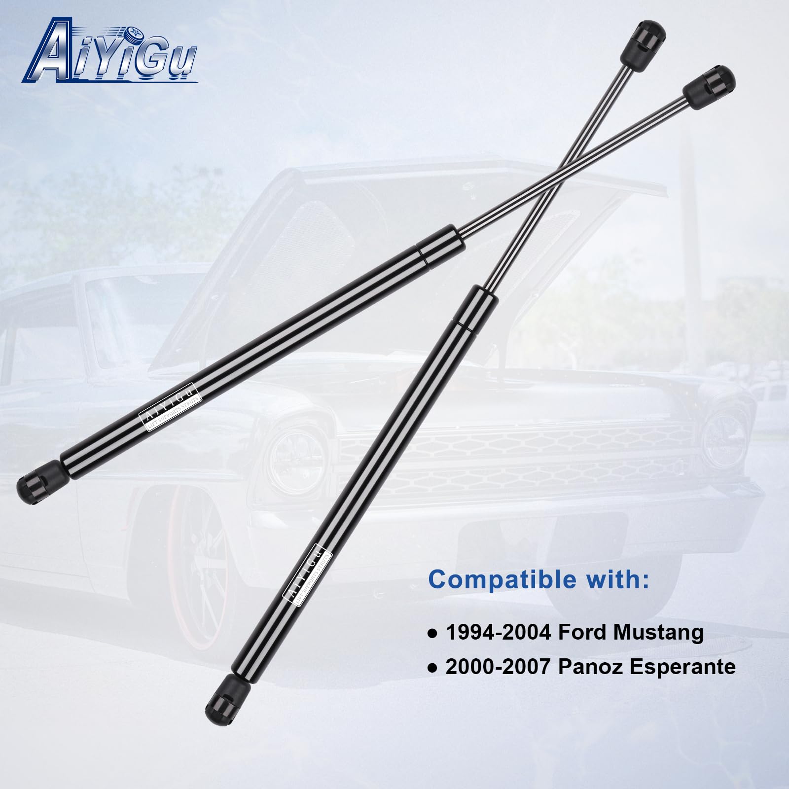 AiYiGu two-piece hatch shock set, ready for replacement