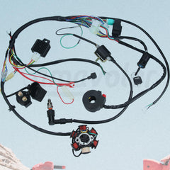 Amavoler magneto flywheel stator for consistent spark during rides.