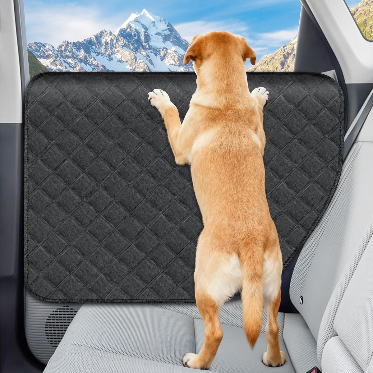 ANA EGO dog door protector left view covers large area protecting doors from claws