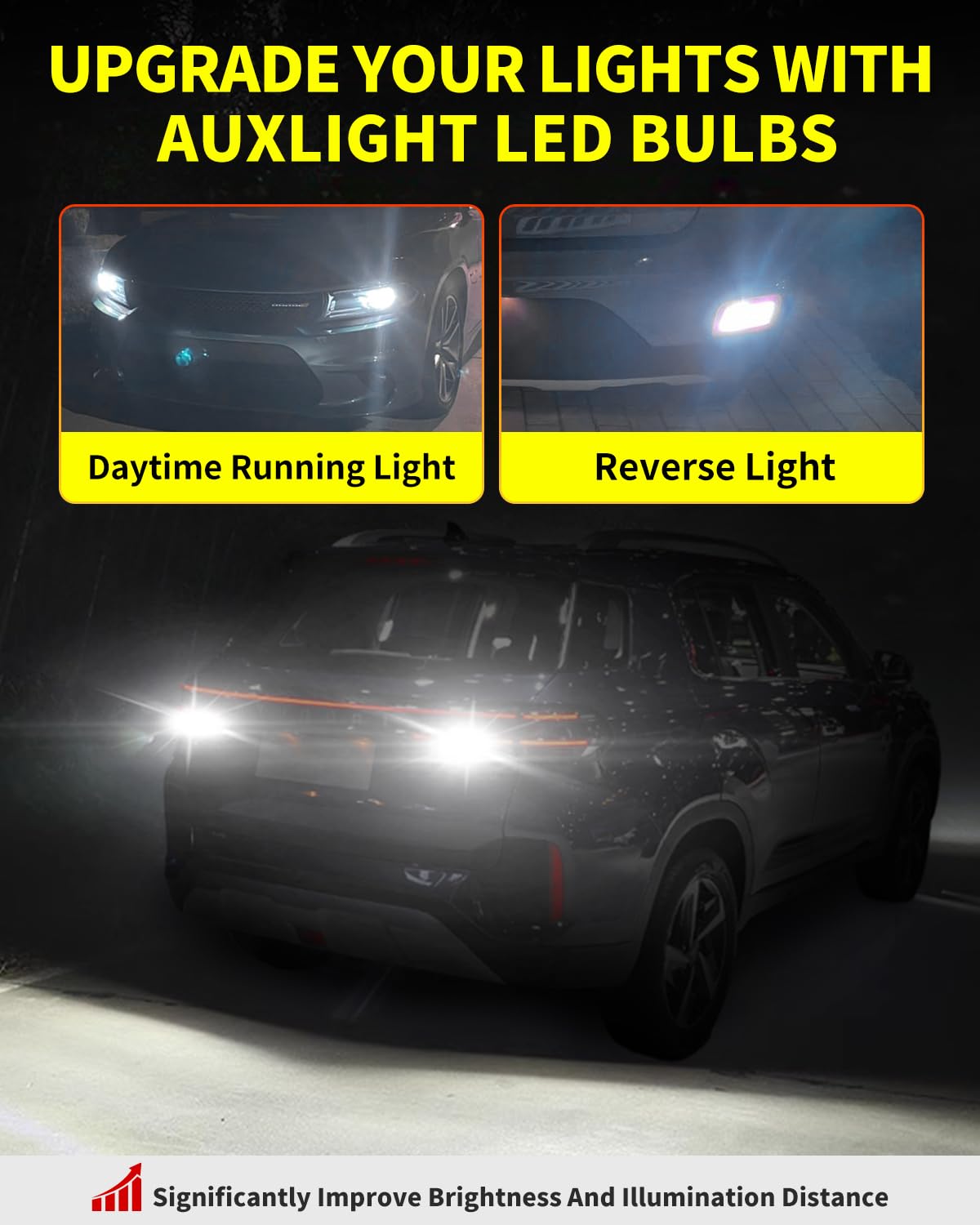 Antline LED bulbs suitable for a 12-24V range across vehicles and trailers.