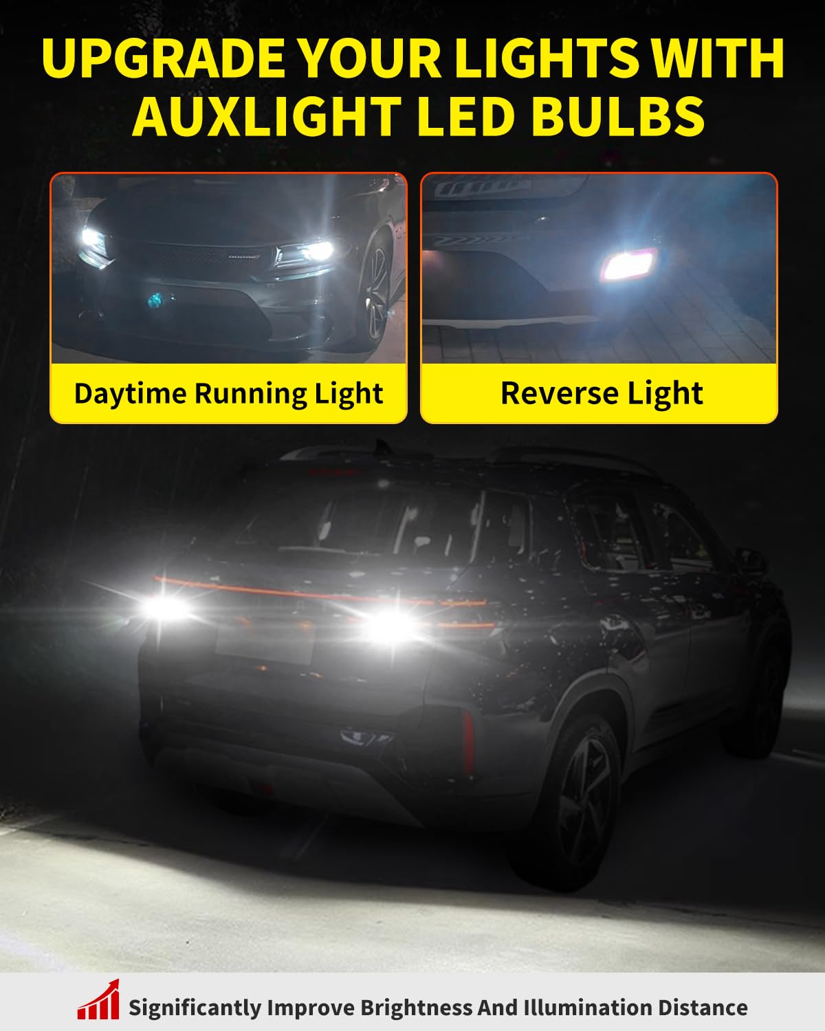 Antline ideal for interior, tail, backup, and brake lights in RVs and campers.