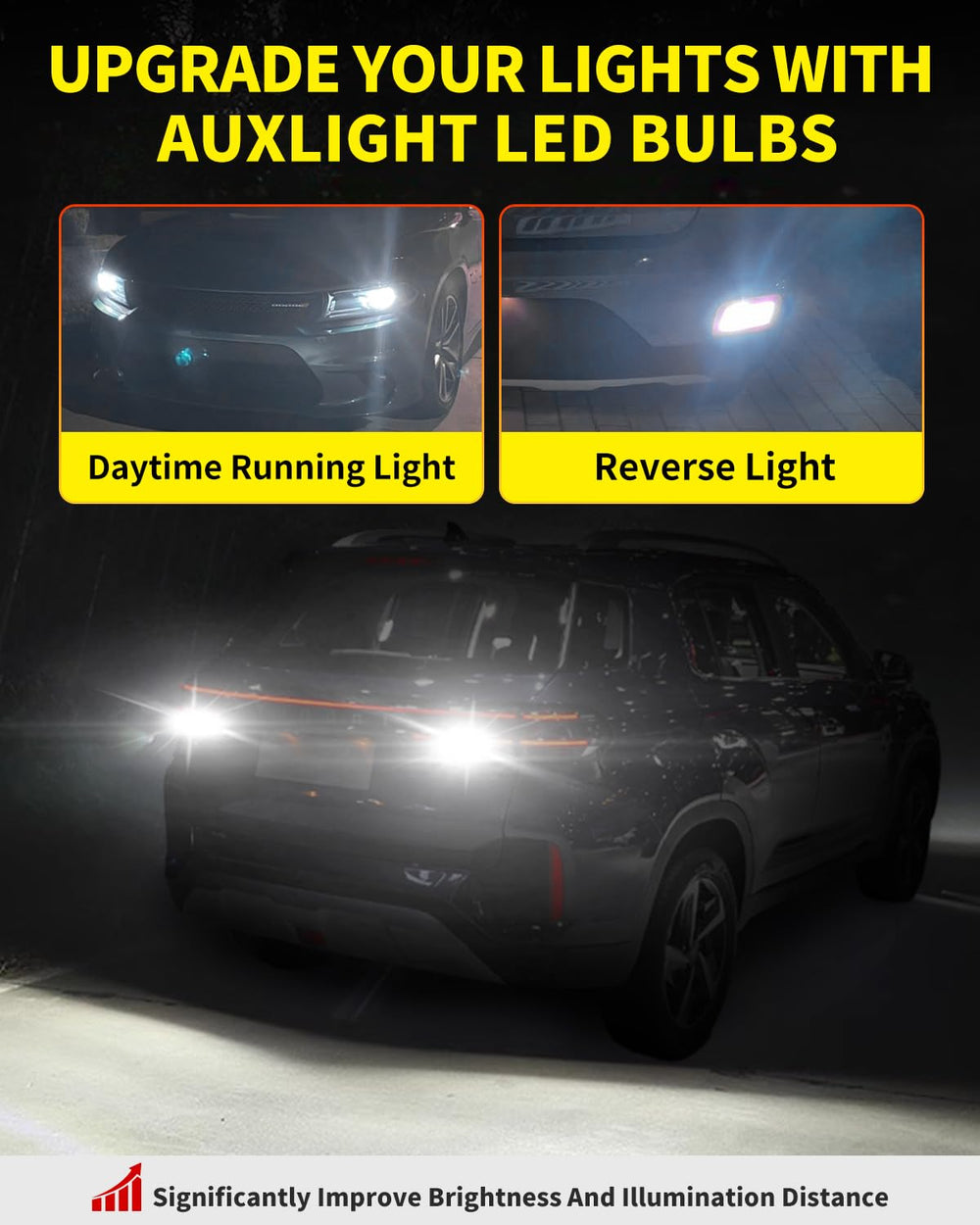 Antline ideal for interior, tail, backup, and brake lights in RVs and campers.