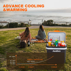AooDen thermoelectric cooler warming function for heated meals on the go